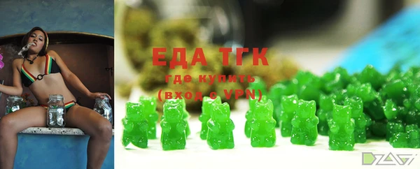 хмурый Алексин