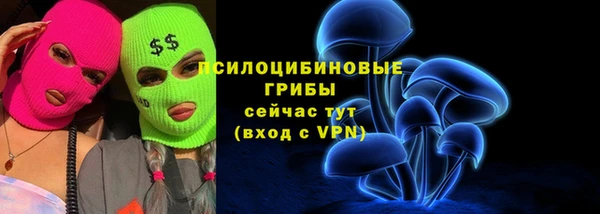 хмурый Алексин