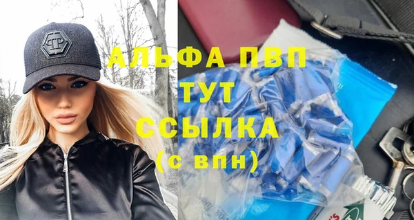 хмурый Алексин