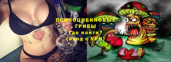 хмурый Алексин